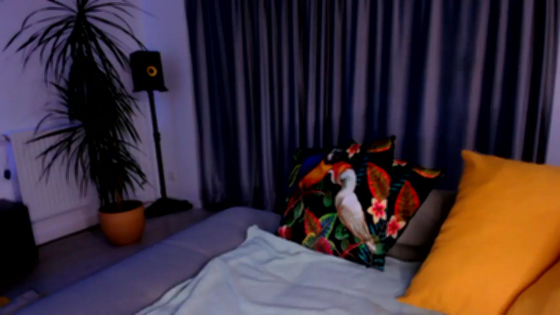 Gallery image thumbnail from just_elle's myfreecams stream on, 11/23/2025, 19:21 image 14 of 20