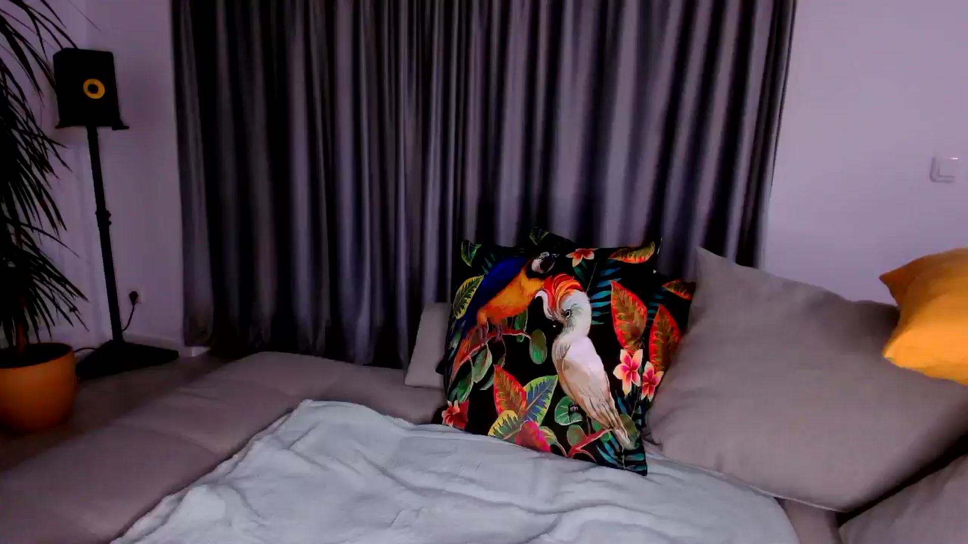 Gallery image thumbnail from just_elle's myfreecams stream on, 12/13/2025, 16:05 image 13 of 20