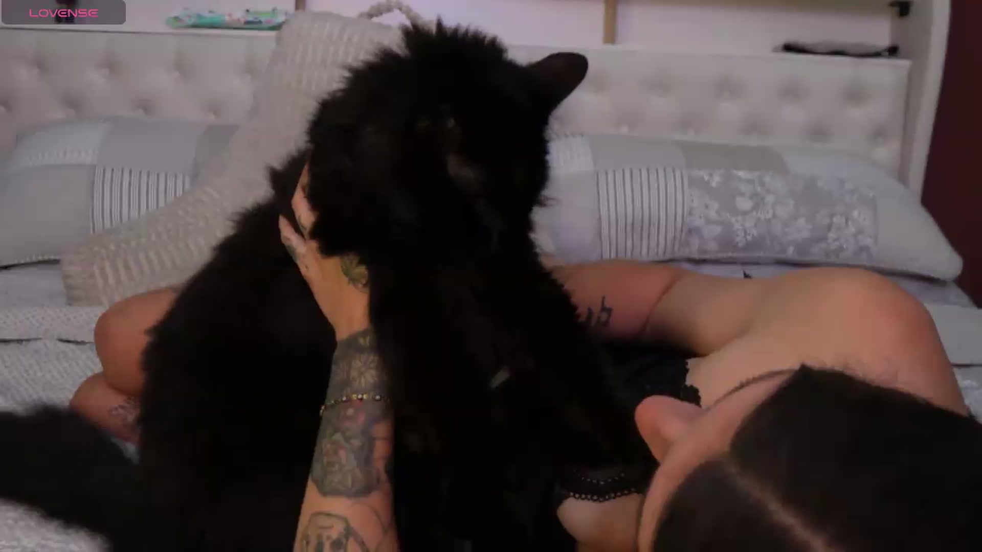 Gallery image thumbnail from just_erika's myfreecams stream on, 07/30/2026, 03:48 image 15 of 20