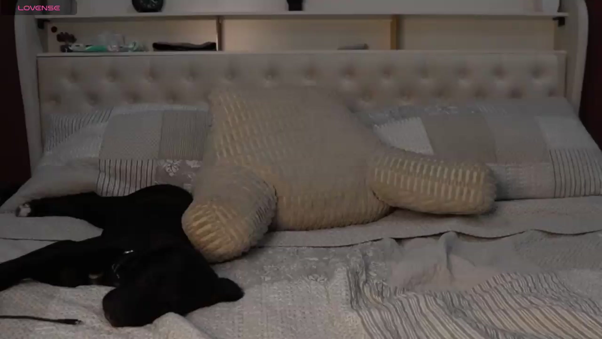Gallery image thumbnail from just_erika's myfreecams stream on, 09/09/2026, 02:31 image 6 of 20