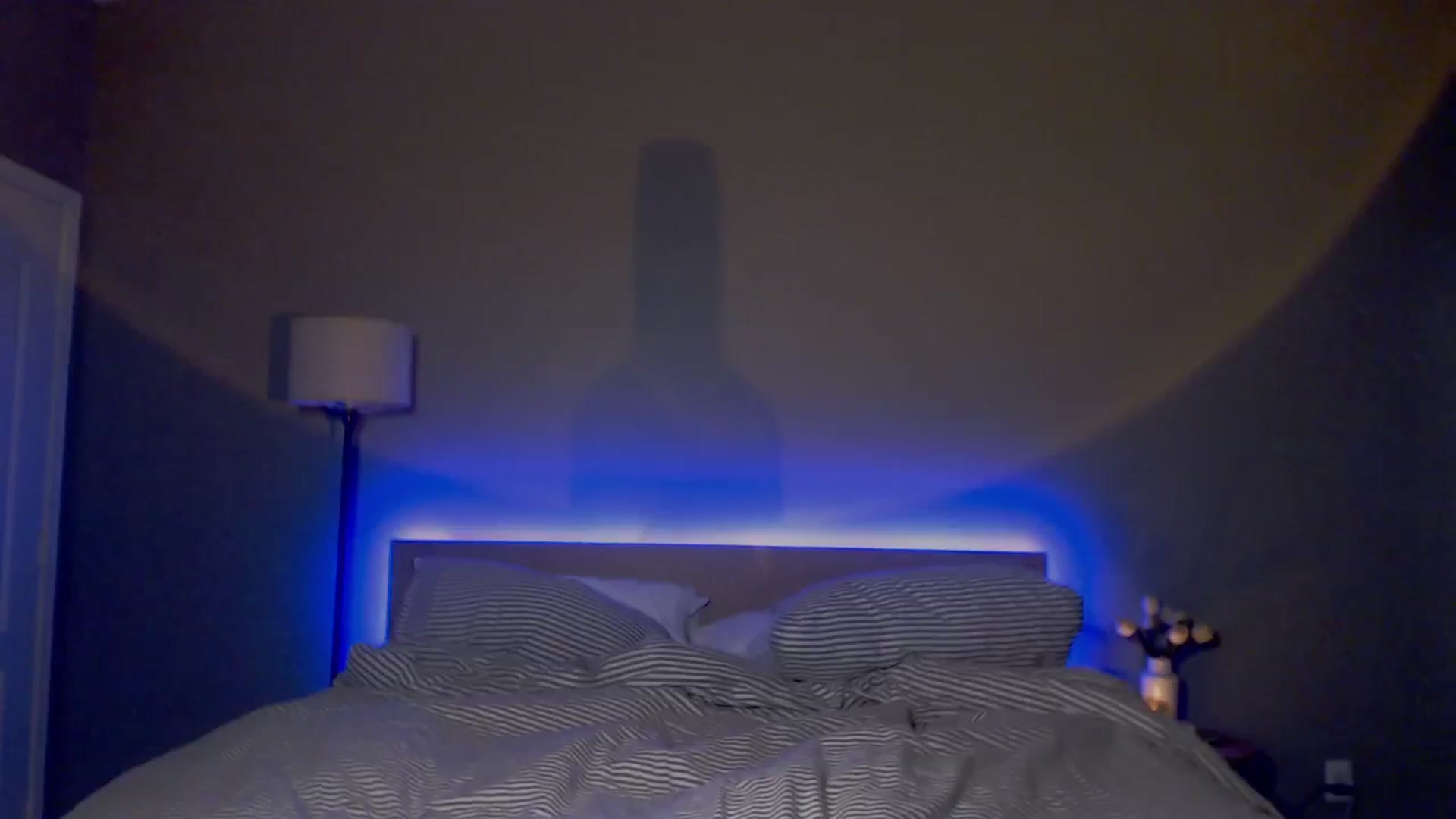 Gallery image thumbnail from justagirl_'s myfreecams stream on, 10/31/2024, 06:14 image 14 of 20