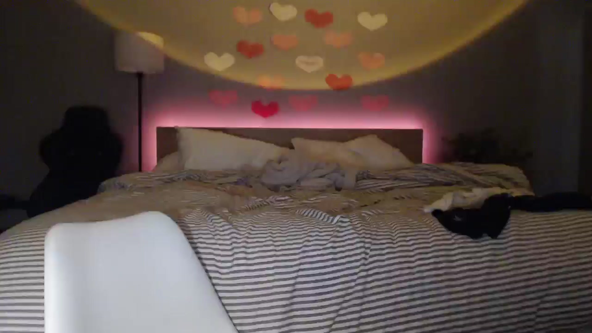 Gallery image thumbnail from justagirl_'s myfreecams stream on, 02/06/2025, 06:43 image 15 of 20