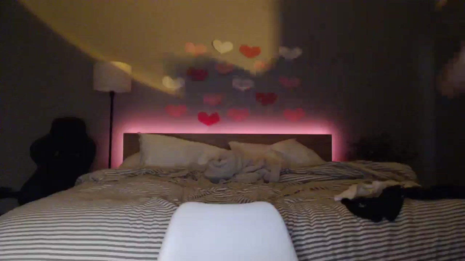 Gallery image thumbnail from justagirl_'s myfreecams stream on, 02/06/2025, 06:43 image 14 of 20