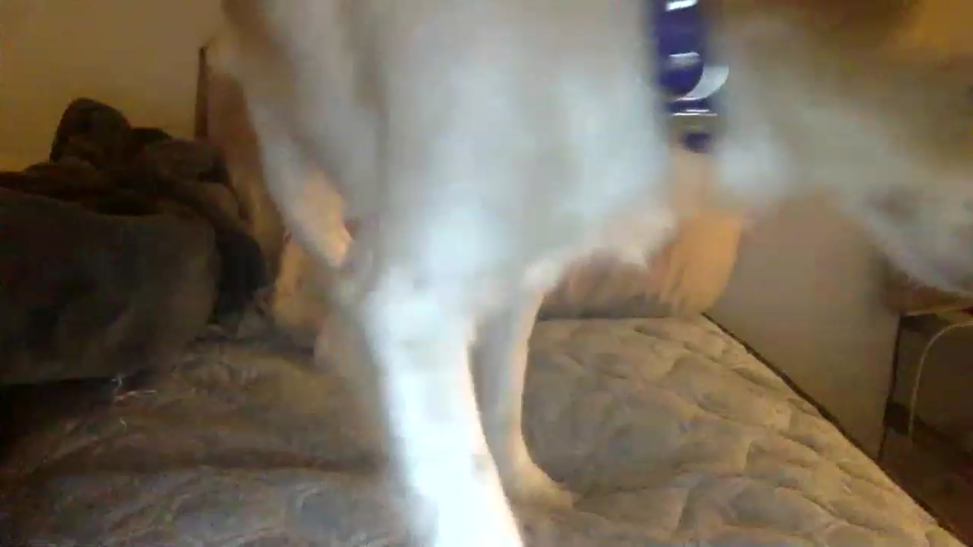 Gallery image thumbnail from kaaate01's myfreecams stream on, 04/10/2023, 06:21 image 6 of 20