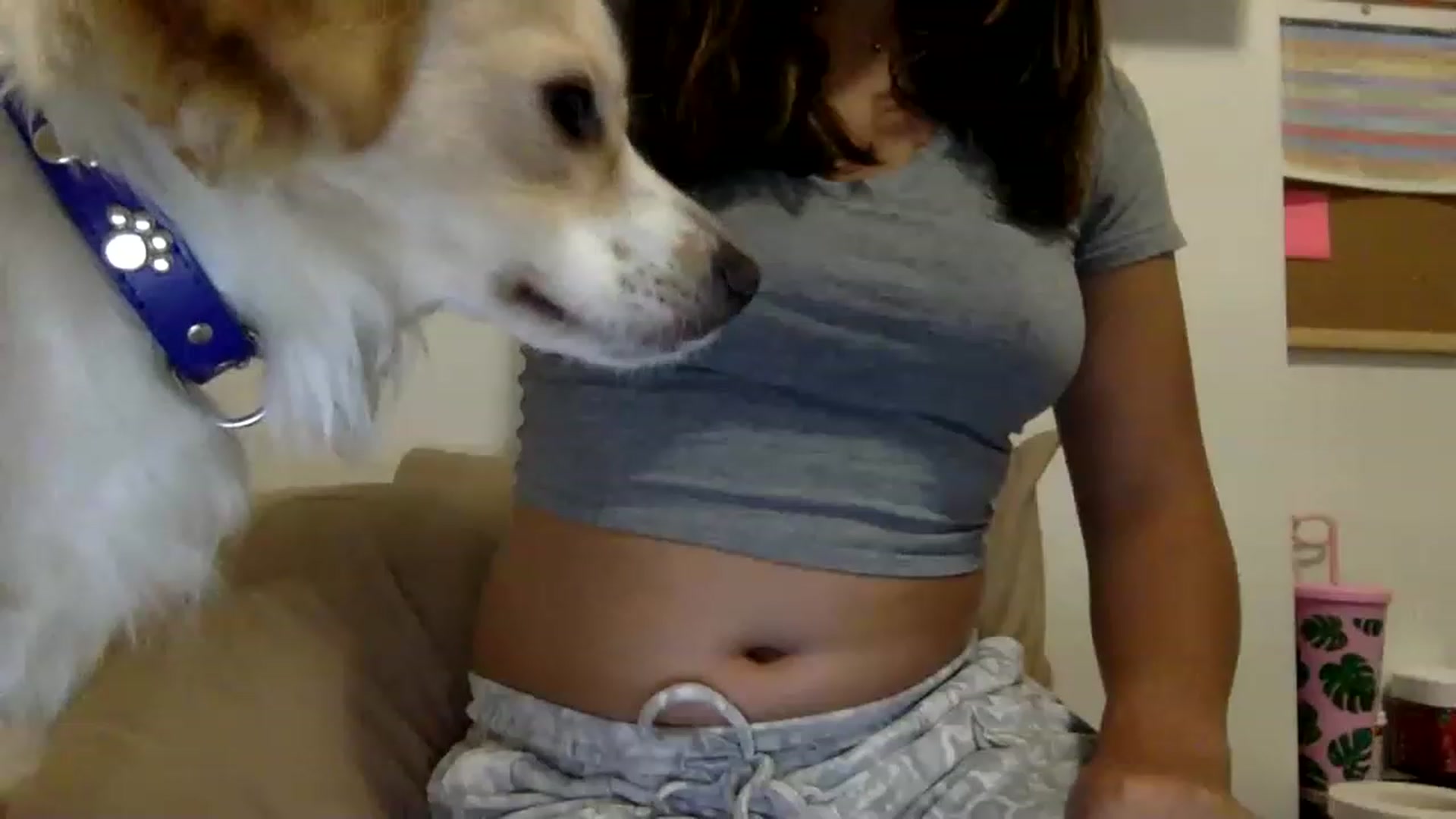 Gallery image thumbnail from kaaate01's myfreecams stream on, 04/12/2023, 02:01 image 3 of 20