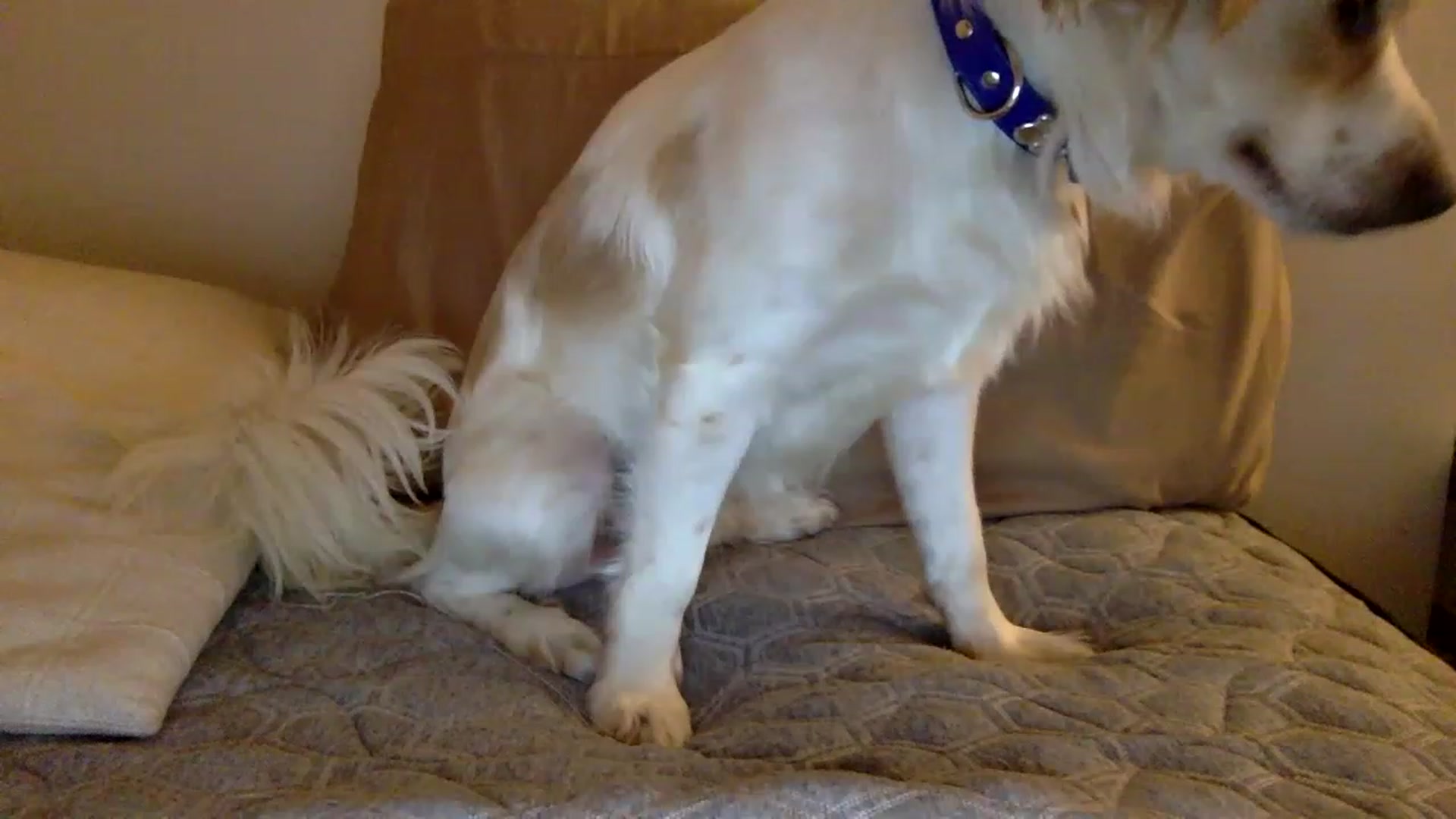Gallery image thumbnail from kaaate01's myfreecams stream on, 04/12/2023, 02:01 image 17 of 20