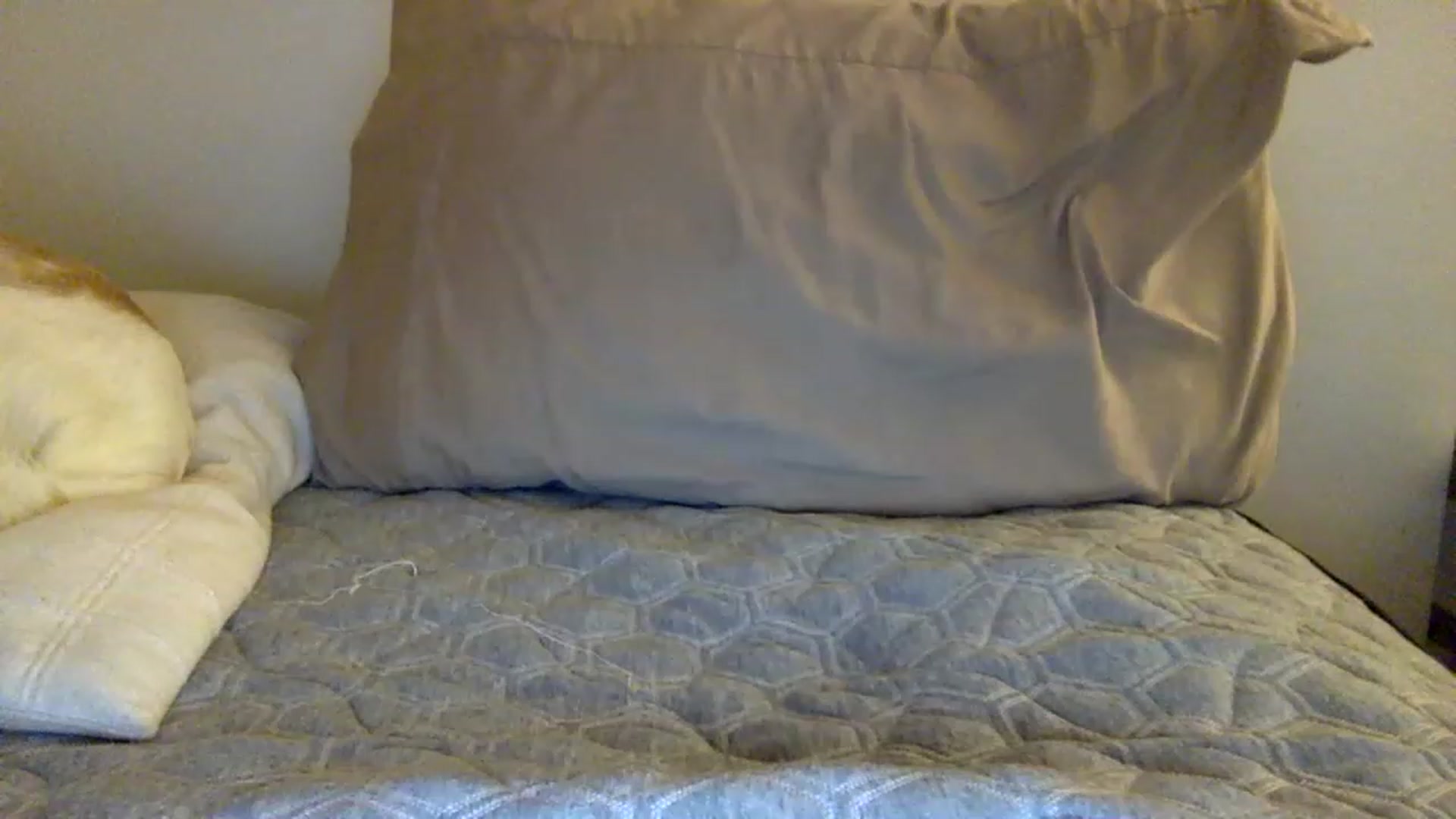 Gallery image thumbnail from kaaate01's myfreecams stream on, 04/12/2023, 02:01 image 16 of 20