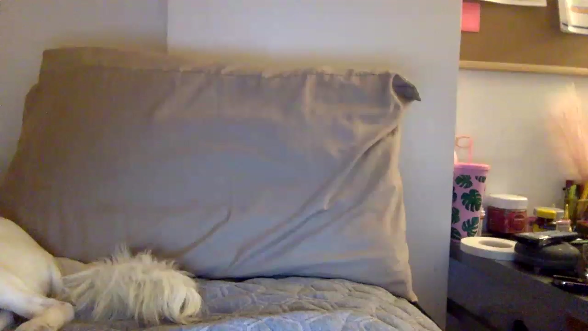 Gallery image thumbnail from kaaate01's myfreecams stream on, 04/12/2023, 02:01 image 10 of 20
