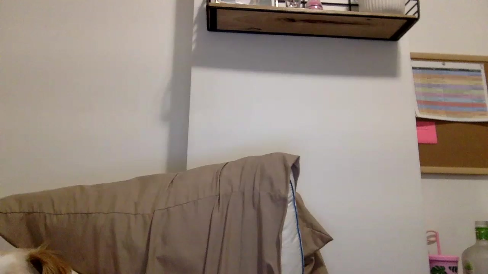 Gallery image thumbnail from kaaate01's myfreecams stream on, 04/17/2023, 01:58 image 20 of 20