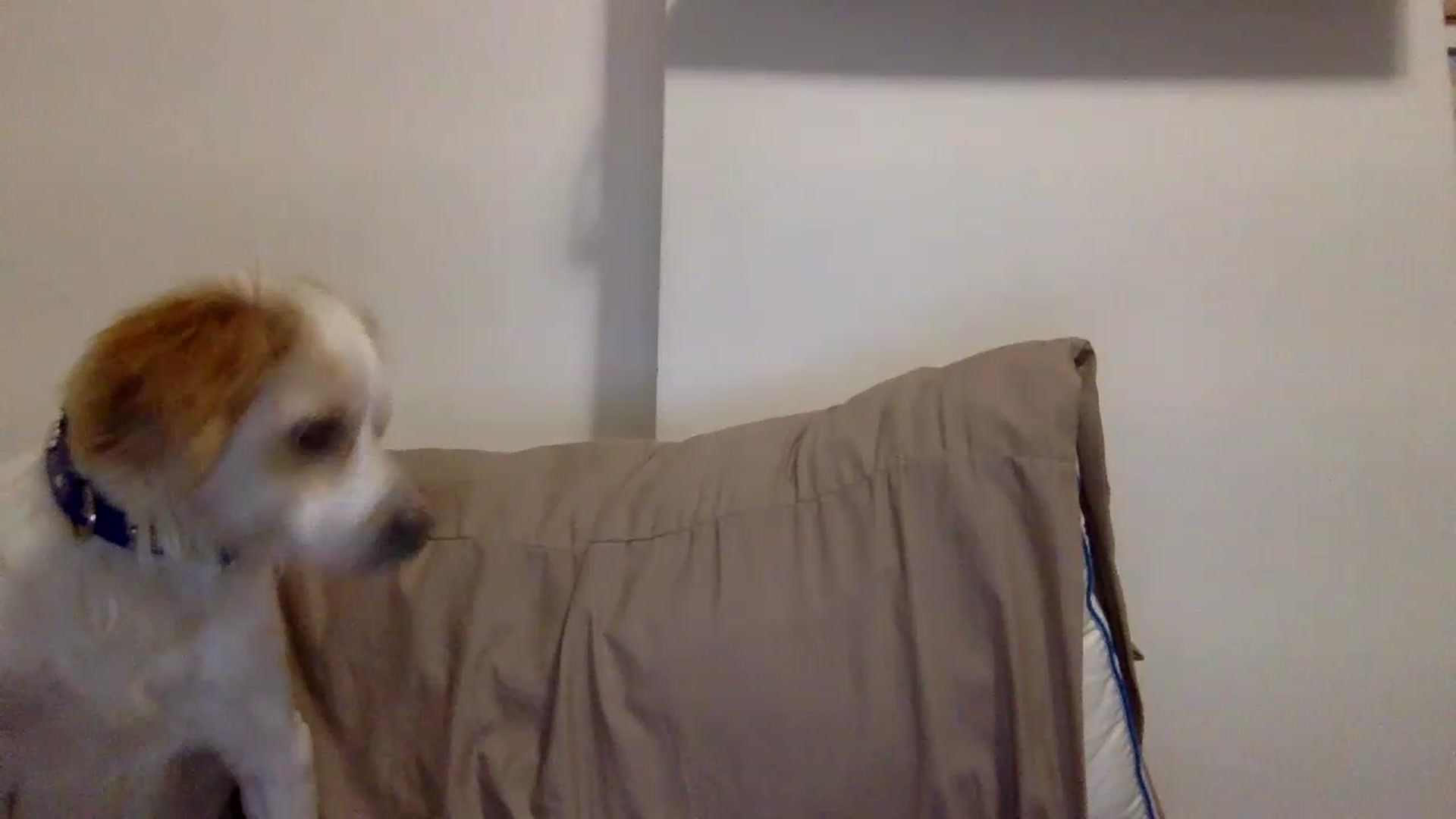 Gallery image thumbnail from kaaate01's myfreecams stream on, 04/17/2023, 01:58 image 13 of 20