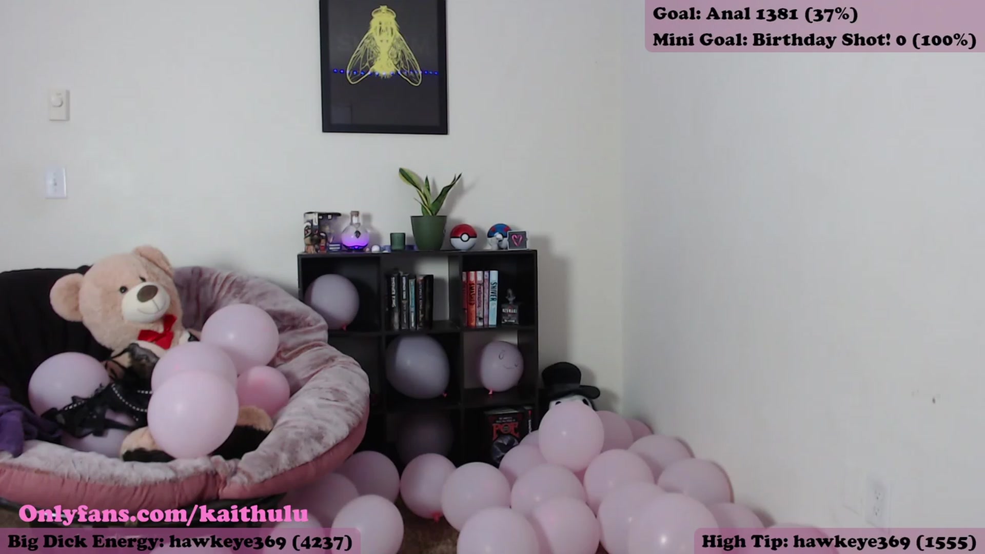 Gallery image thumbnail from kaithulu's myfreecams stream on, 08/12/2023, 07:02 image 11 of 20