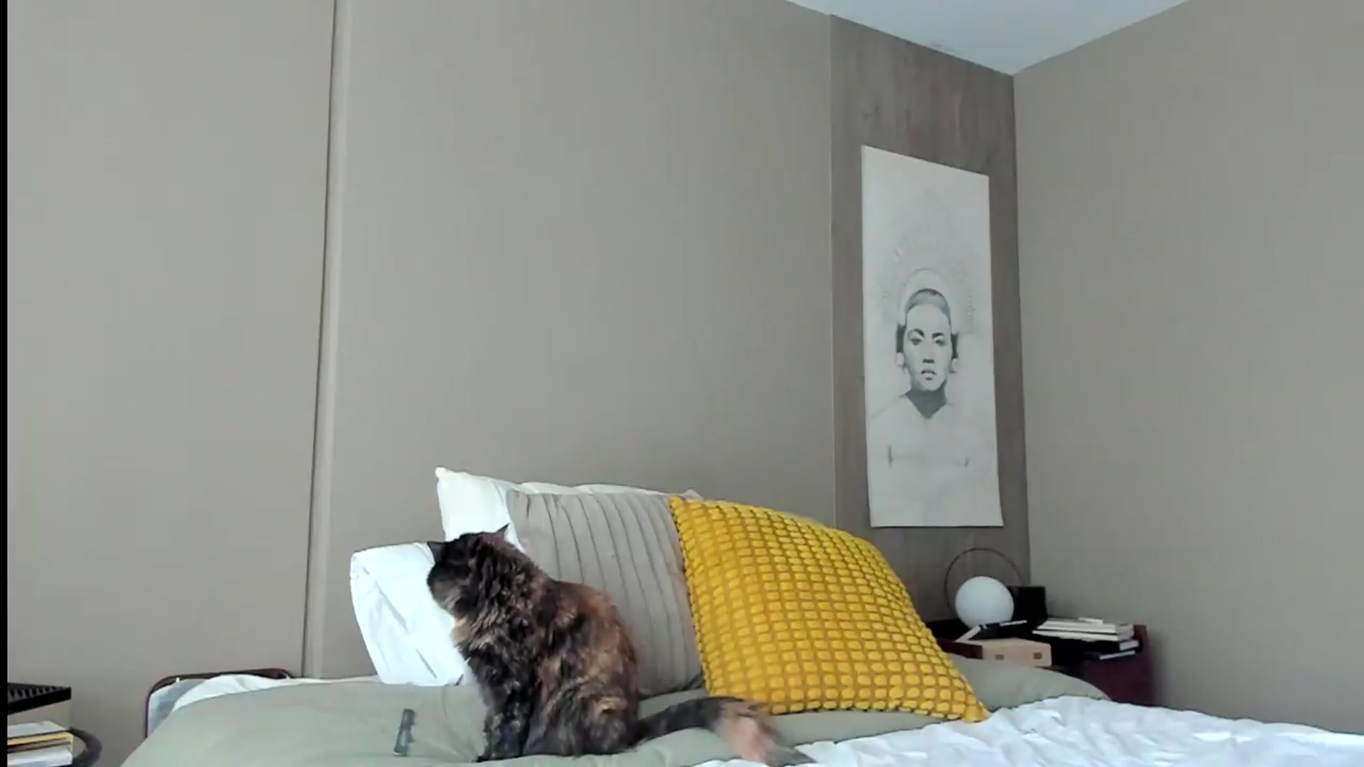 Gallery image thumbnail from kamikiss's myfreecams stream on, 07/10/2026, 18:07 image 9 of 20