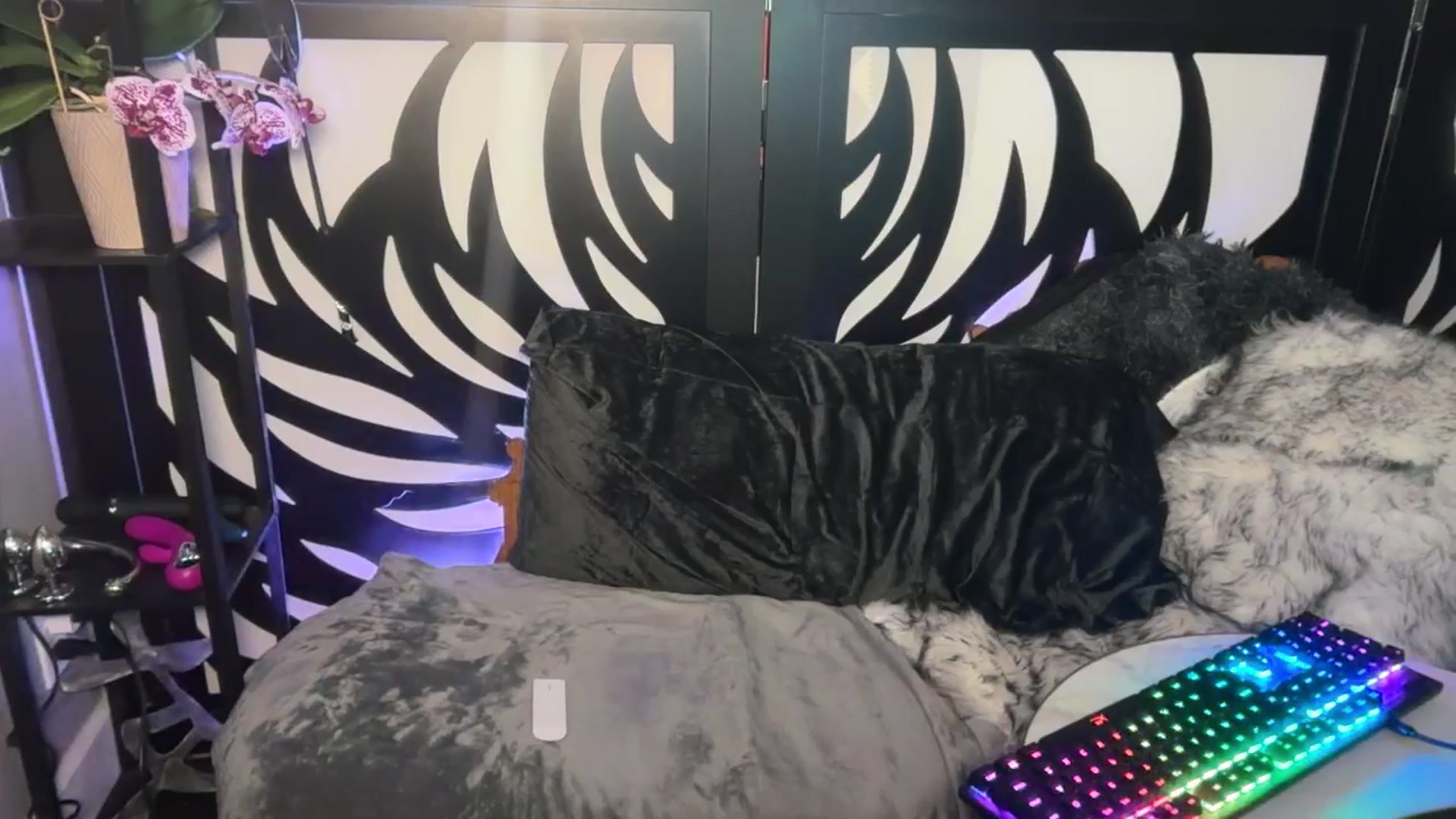 Gallery image thumbnail from katanacakes's myfreecams stream on, 08/08/2025, 04:12 image 20 of 20