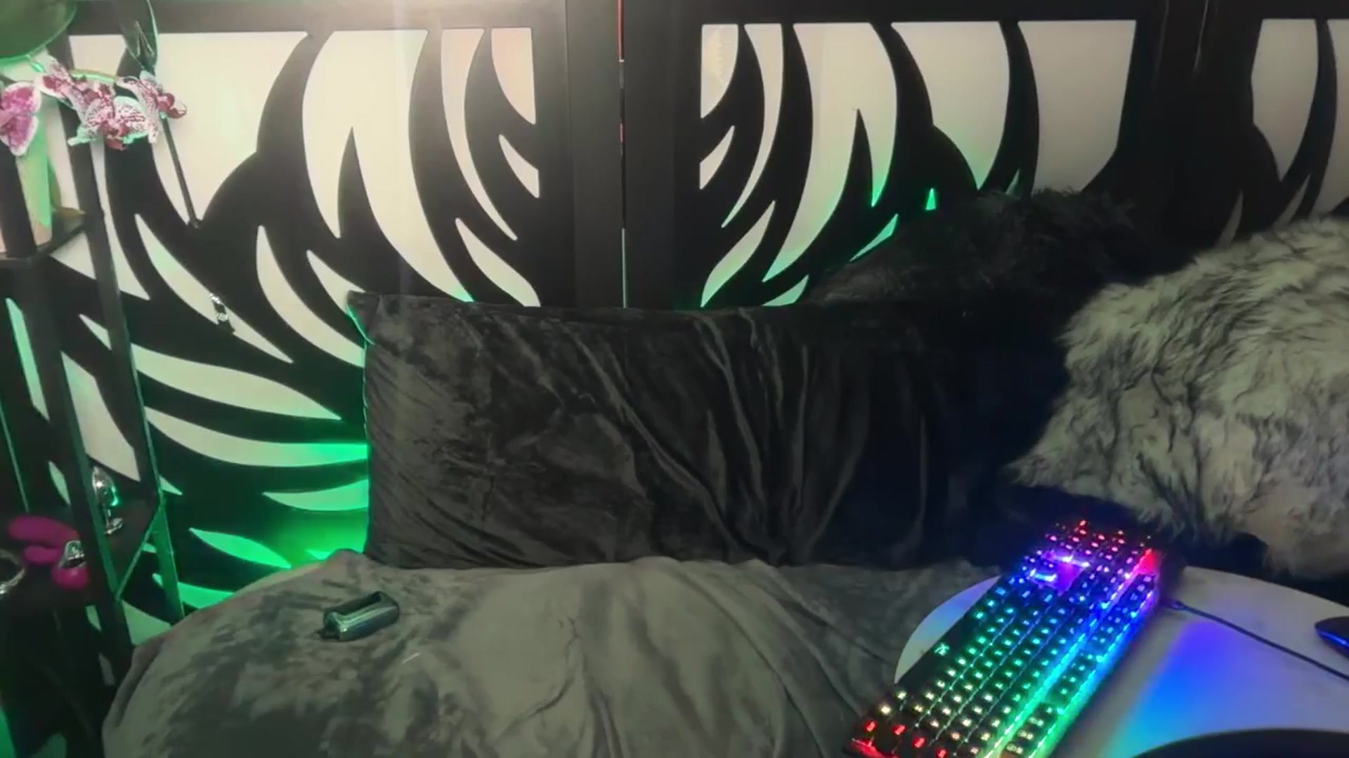 Gallery image thumbnail from katanacakes's myfreecams stream on, 08/13/2025, 06:46 image 16 of 20