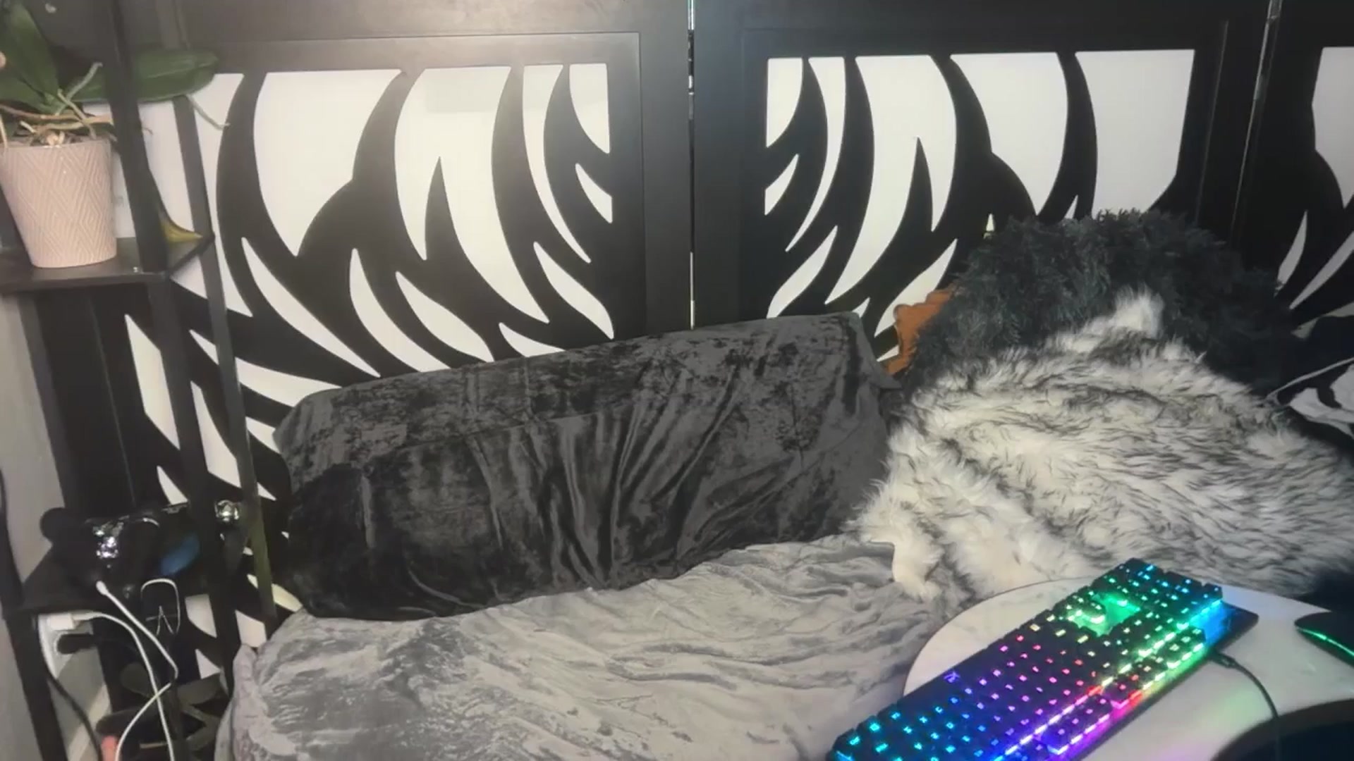 Gallery image thumbnail from katanacakes's myfreecams stream on, 09/03/2025, 03:04 image 2 of 20