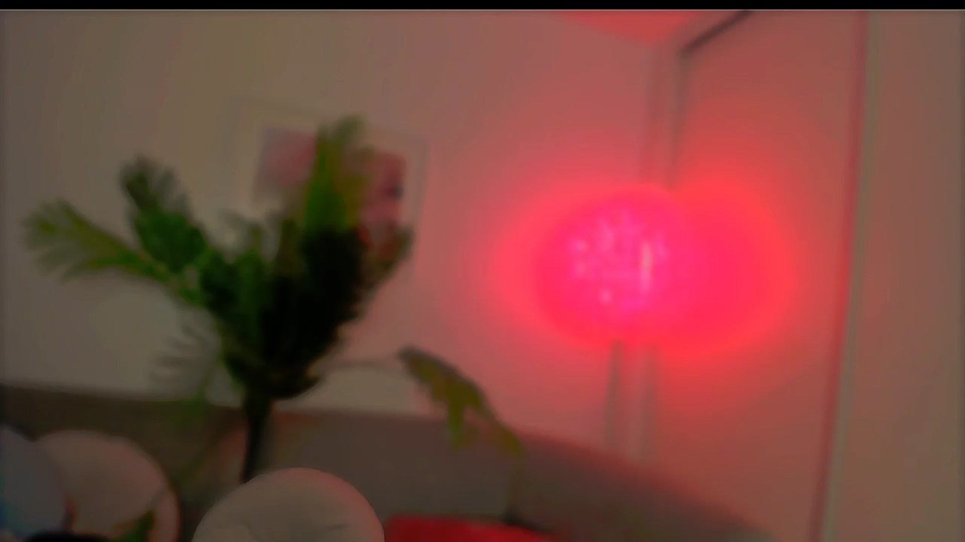 Gallery image thumbnail from kati_blu's myfreecams stream on, 01/21/2026, 13:23 image 9 of 20