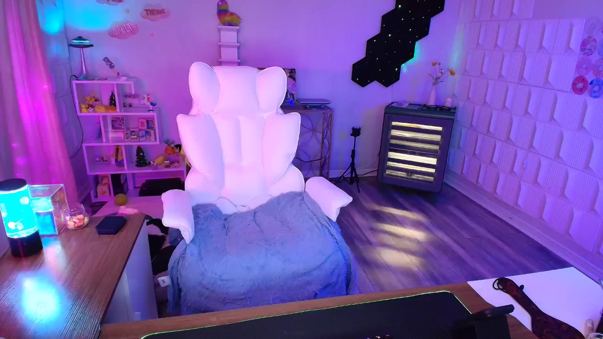 Gallery image thumbnail from kaydolll's myfreecams stream on, 04/13/2025, 03:38 image 14 of 20