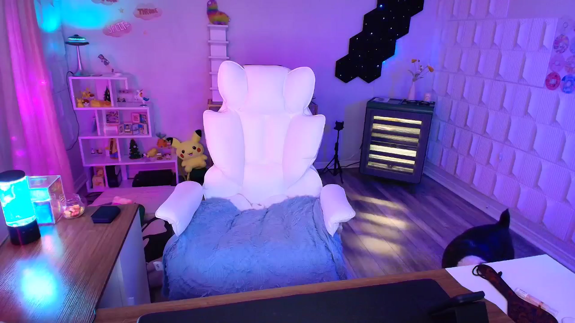 Gallery image thumbnail from kaydolll's myfreecams stream on, 04/13/2025, 03:38 image 5 of 20