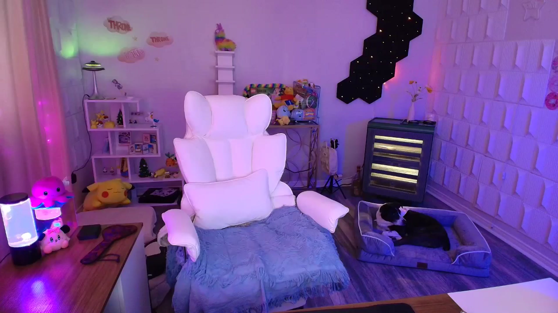 Gallery image thumbnail from kaydolll's myfreecams stream on, 05/05/2025, 21:52 image 14 of 20