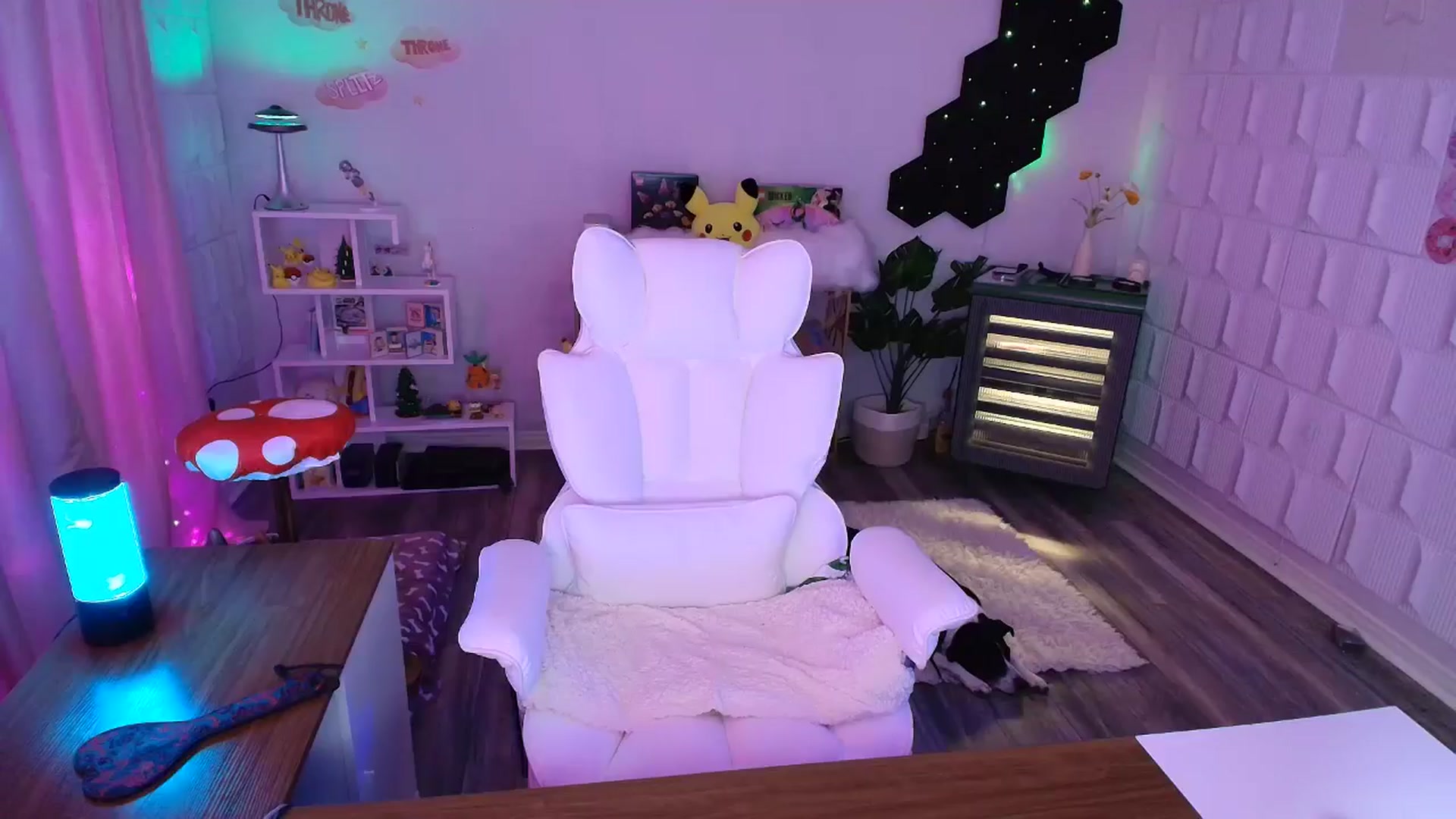 Gallery image thumbnail from kaydolll's myfreecams stream on, 08/03/2025, 07:51 image 14 of 20