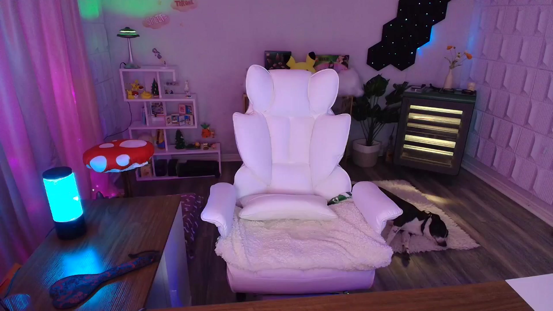 Gallery image thumbnail from kaydolll's myfreecams stream on, 08/03/2025, 07:51 image 20 of 20