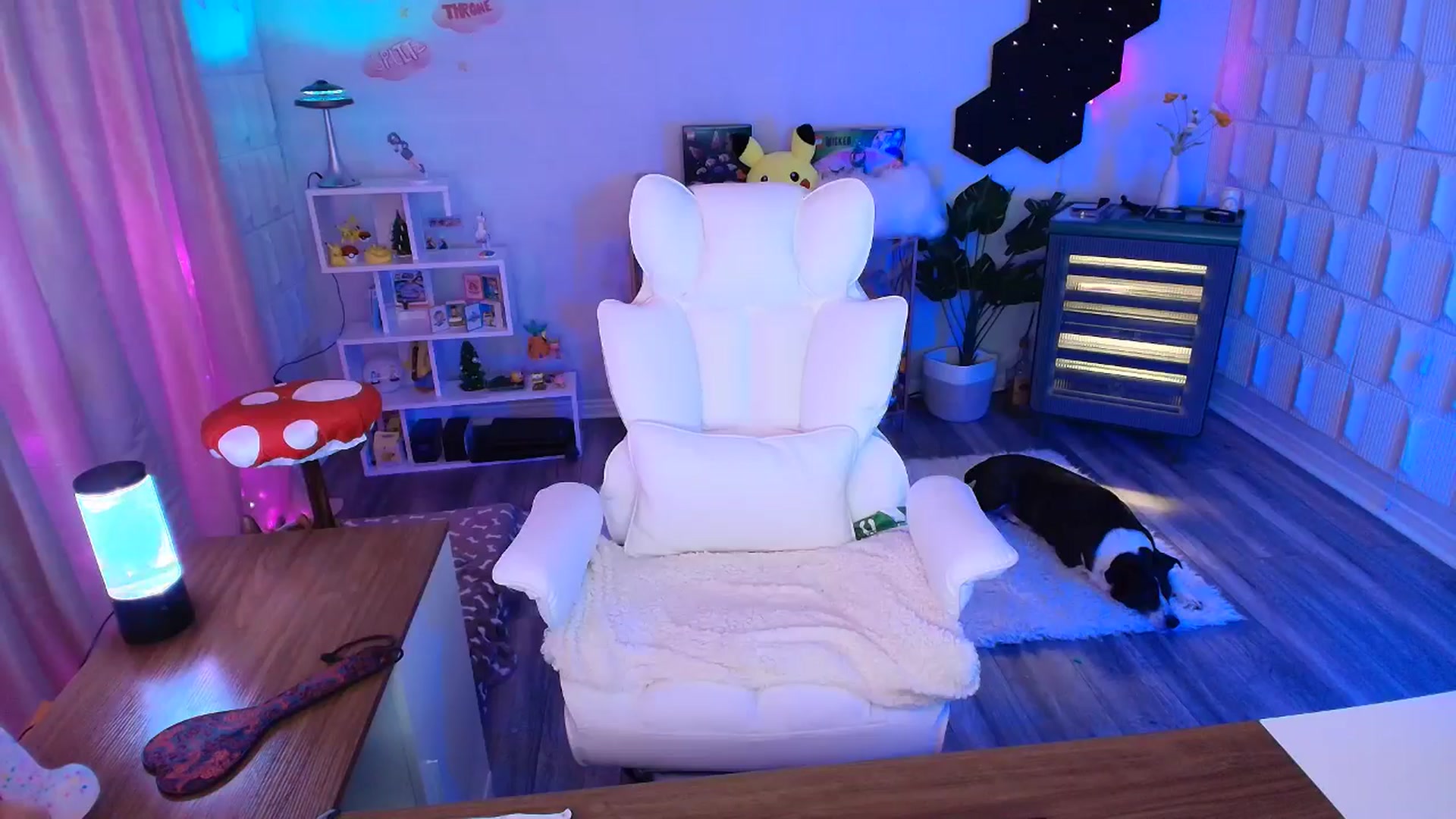 Gallery image thumbnail from kaydolll's myfreecams stream on, 08/10/2025, 06:44 image 4 of 20