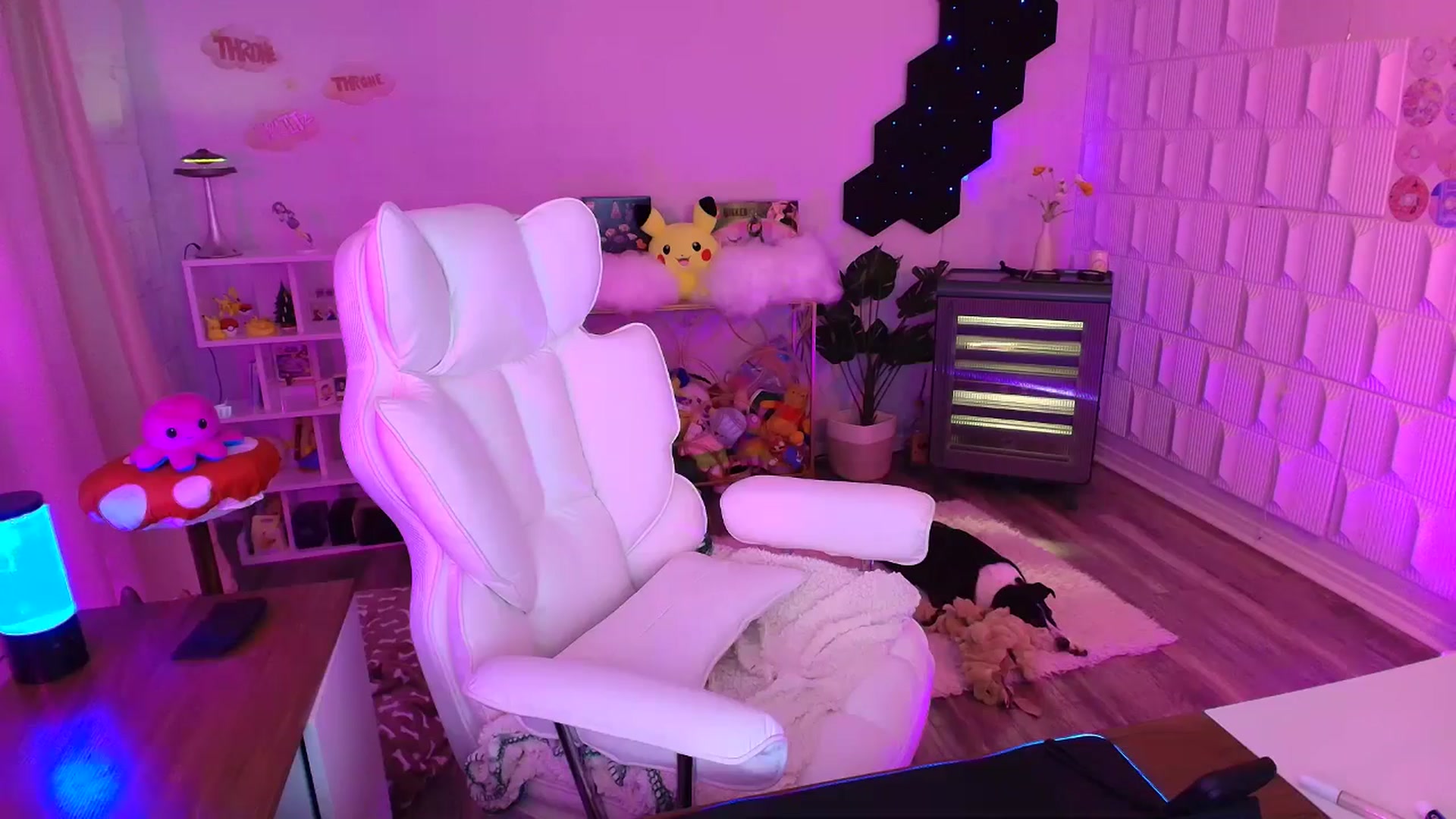 Gallery image thumbnail from kaydolll's myfreecams stream on, 09/13/2025, 07:31 image 19 of 20