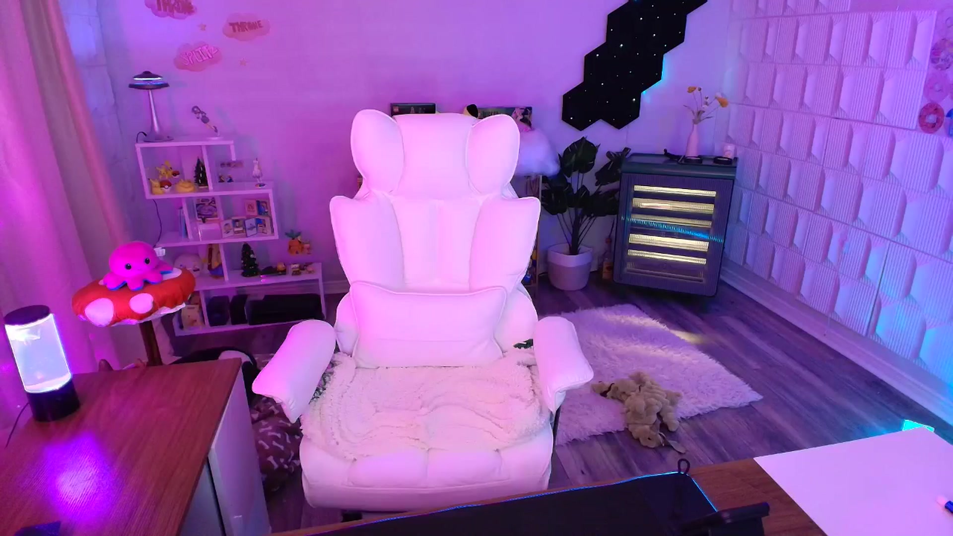 Gallery image thumbnail from kaydolll's myfreecams stream on, 09/13/2025, 08:48 image 3 of 20