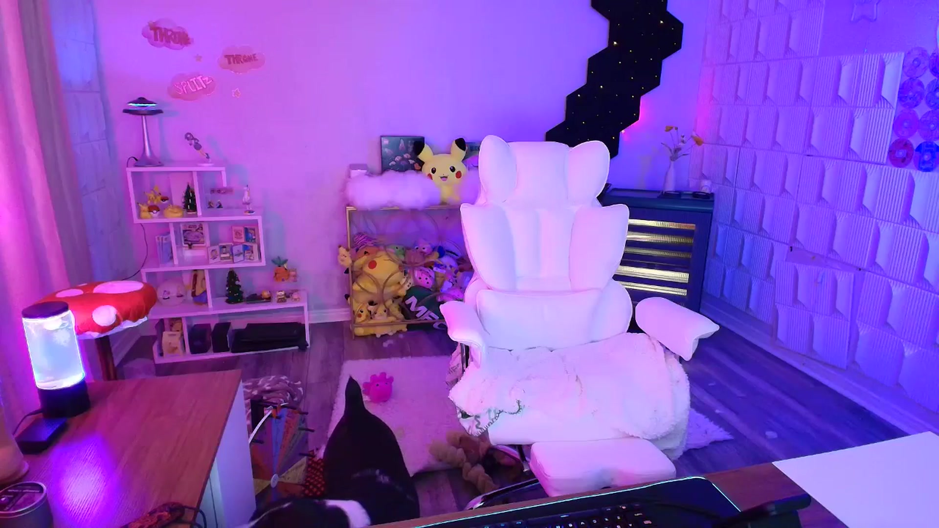 Gallery image thumbnail from kaydolll's myfreecams stream on, 09/29/2025, 08:25 image 5 of 20