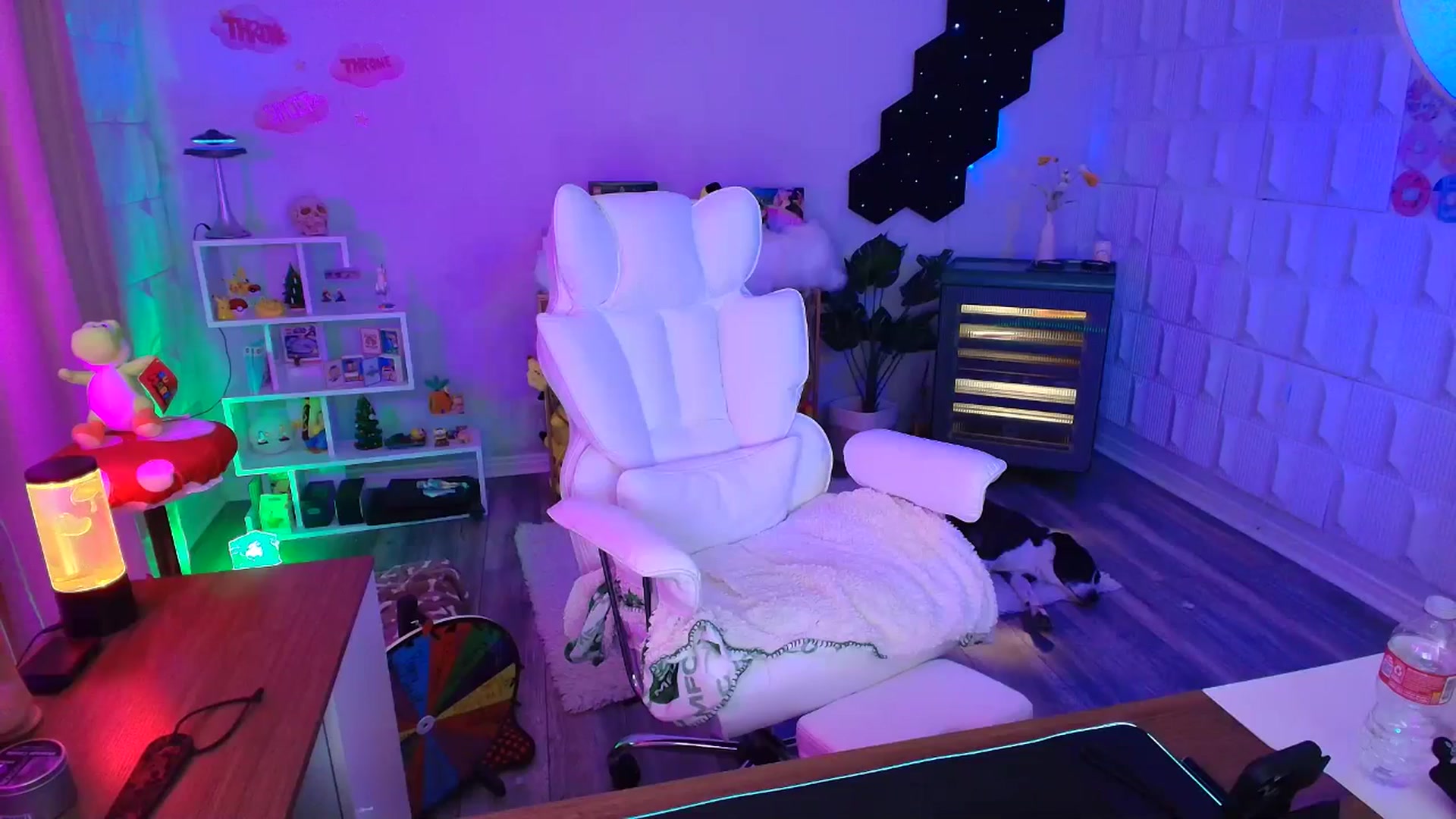 Gallery image thumbnail from kaydolll's myfreecams stream on, 10/02/2025, 04:06 image 10 of 20