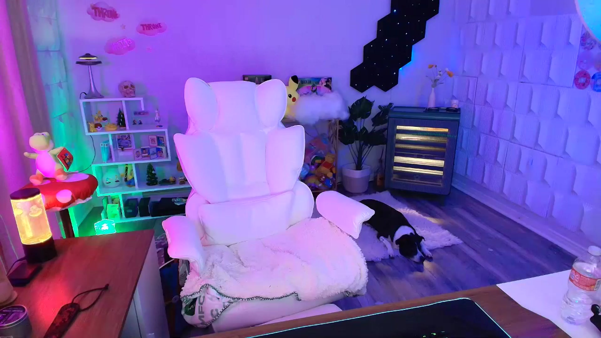 Gallery image thumbnail from kaydolll's myfreecams stream on, 10/02/2025, 04:06 image 8 of 20