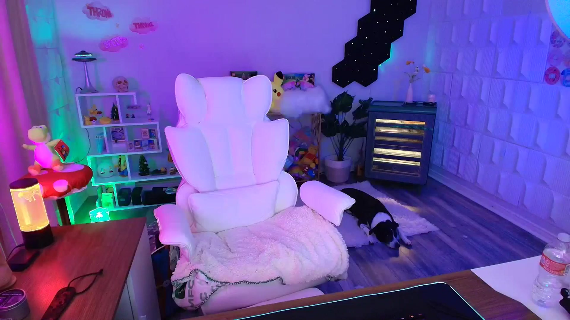 Gallery image thumbnail from kaydolll's myfreecams stream on, 10/02/2025, 04:06 image 6 of 20