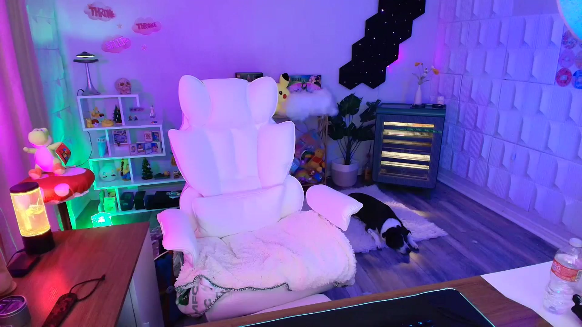 Gallery image thumbnail from kaydolll's myfreecams stream on, 10/02/2025, 04:06 image 7 of 20