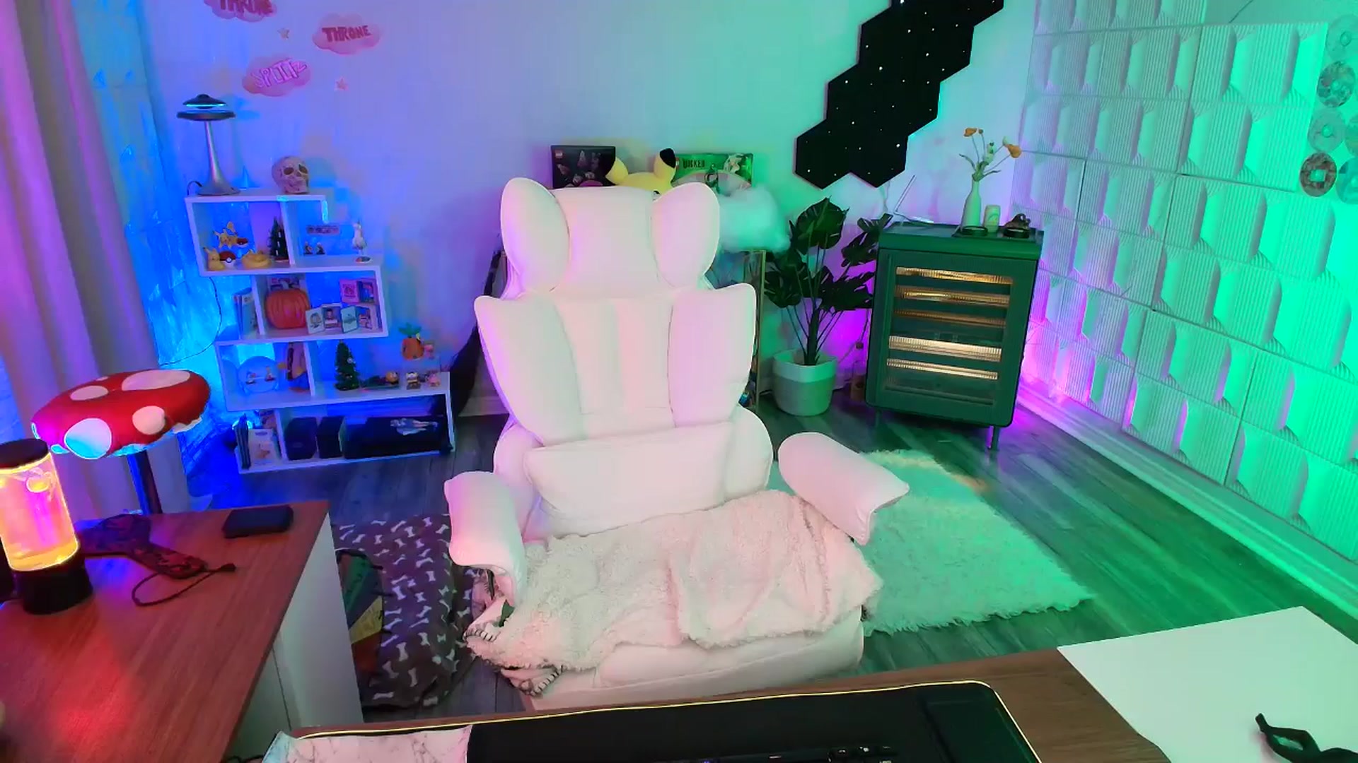 Gallery image thumbnail from kaydolll's myfreecams stream on, 10/12/2025, 02:44 image 9 of 20