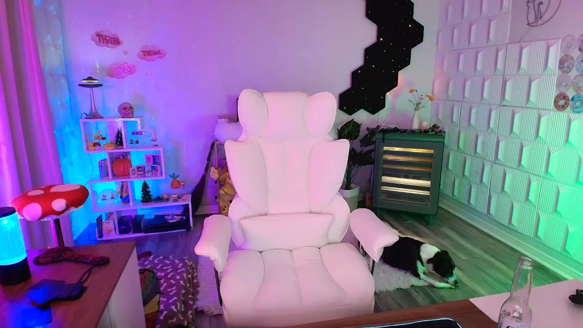 Gallery image thumbnail from kaydolll's myfreecams stream on, 10/18/2025, 06:28 image 13 of 20