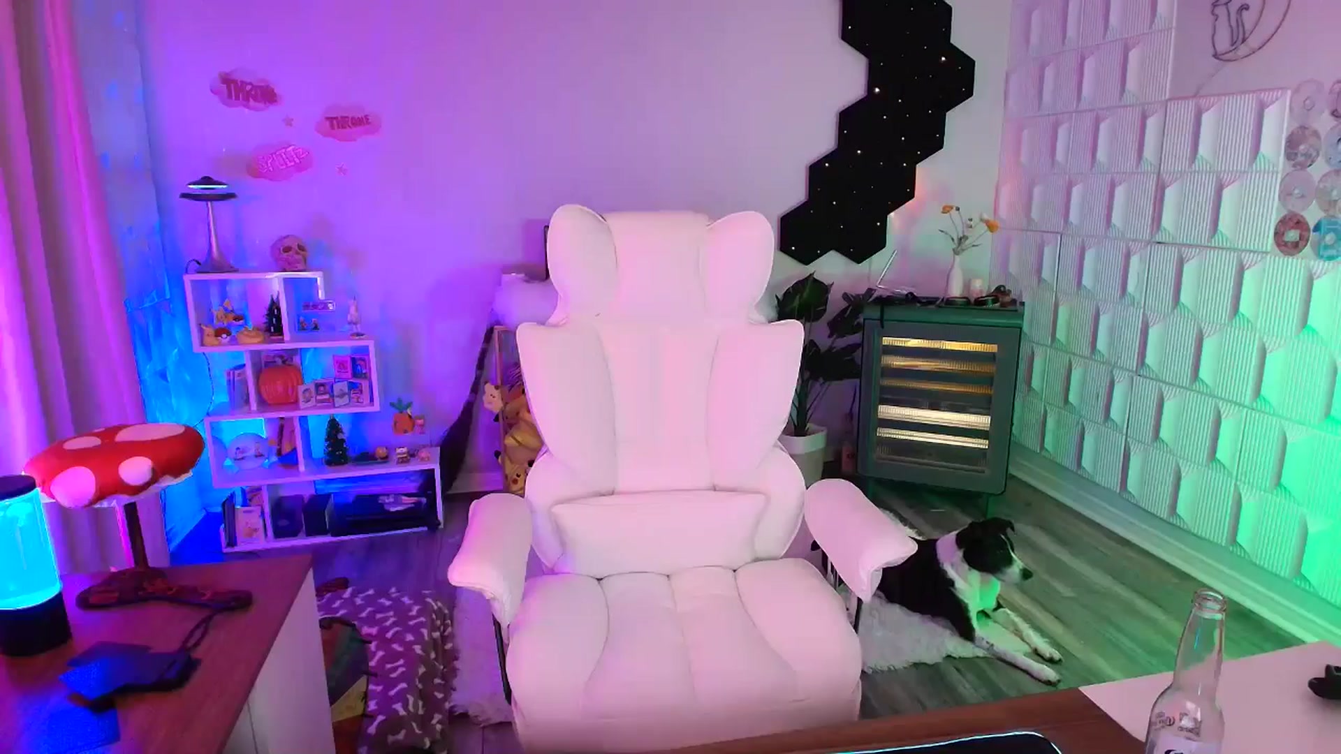 Gallery image thumbnail from kaydolll's myfreecams stream on, 10/18/2025, 06:28 image 15 of 20