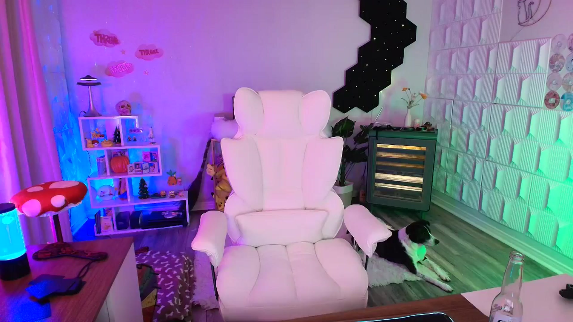 Gallery image thumbnail from kaydolll's myfreecams stream on, 10/18/2025, 06:28 image 14 of 20