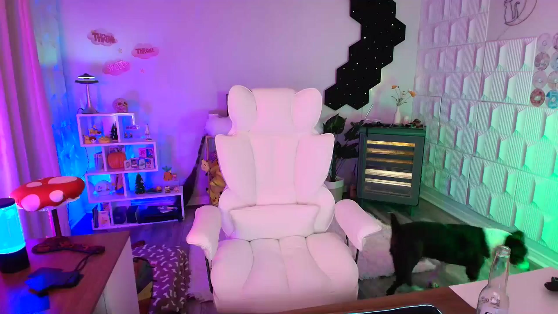 Gallery image thumbnail from kaydolll's myfreecams stream on, 10/18/2025, 06:28 image 12 of 20