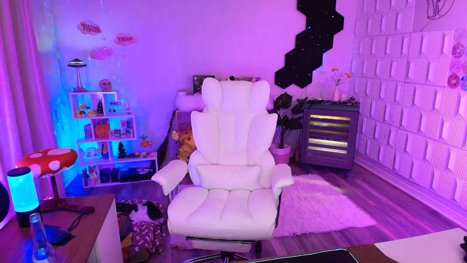 Gallery image thumbnail from kaydolll's myfreecams stream on, 10/18/2025, 09:06 image 20 of 20