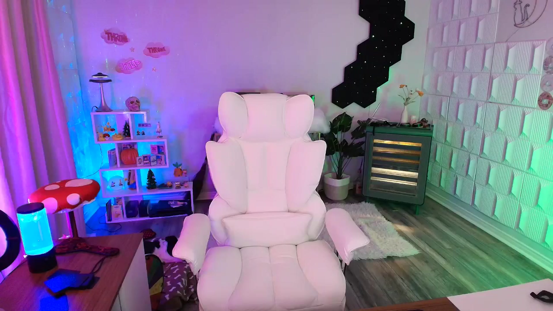 Gallery image thumbnail from kaydolll's myfreecams stream on, 10/18/2025, 09:06 image 14 of 20