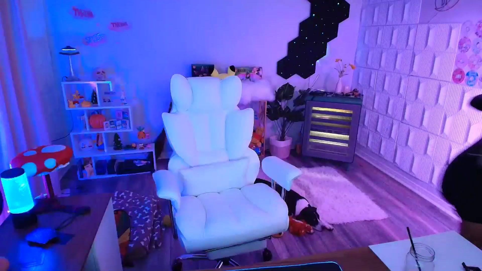 Gallery image thumbnail from kaydolll's myfreecams stream on, 10/19/2025, 08:35 image 9 of 20