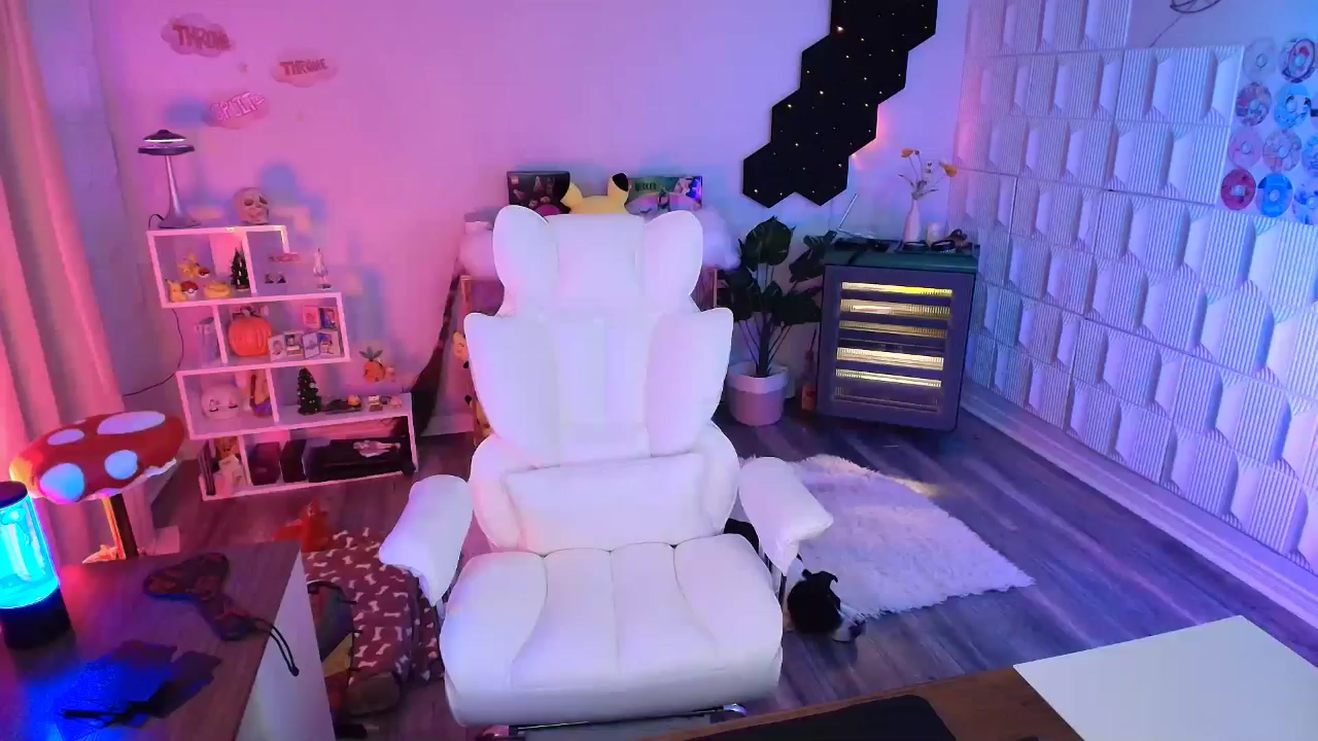 Gallery image thumbnail from kaydolll's myfreecams stream on, 10/25/2025, 07:08 image 16 of 20