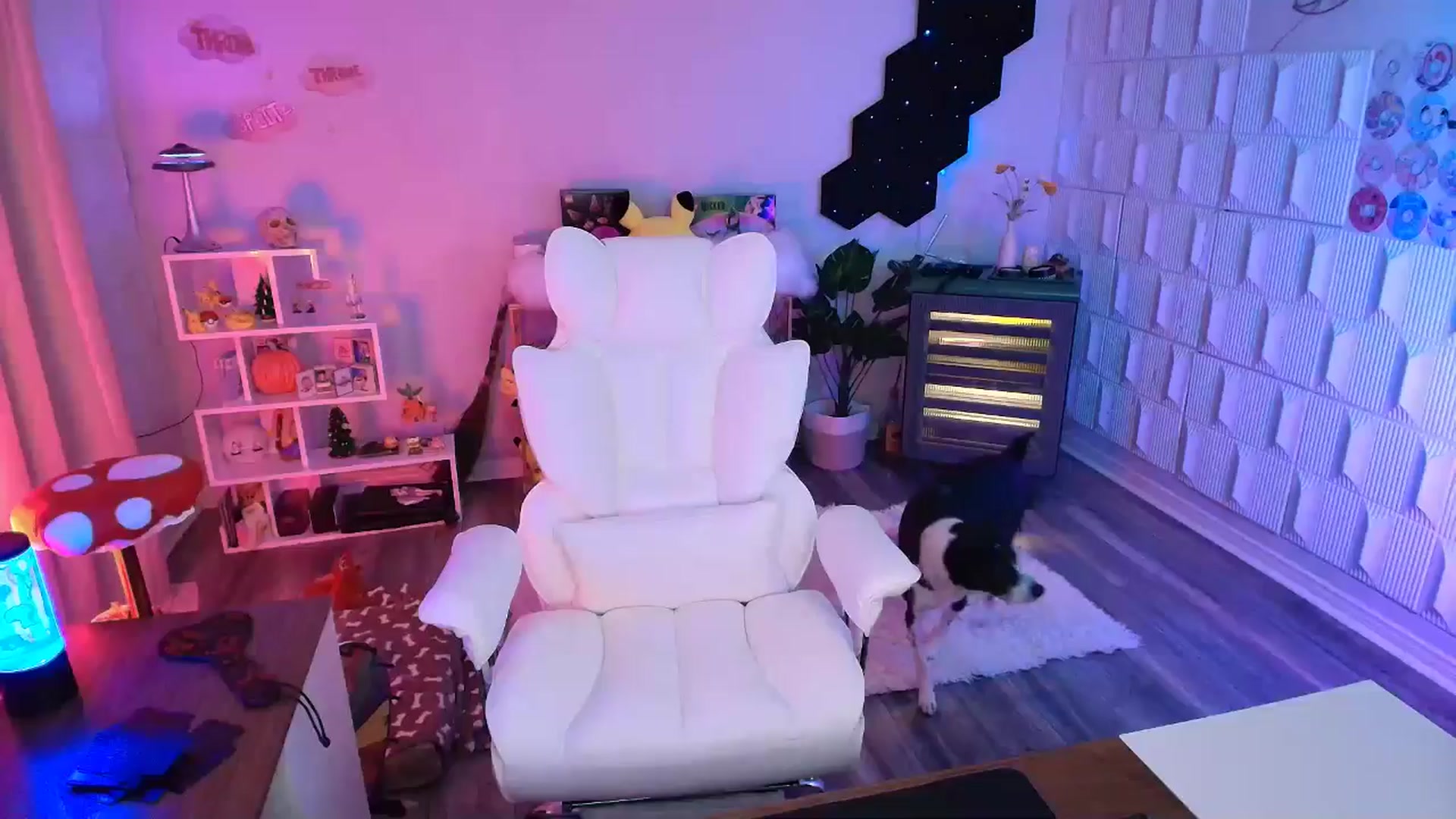 Gallery image thumbnail from kaydolll's myfreecams stream on, 10/25/2025, 07:08 image 17 of 20