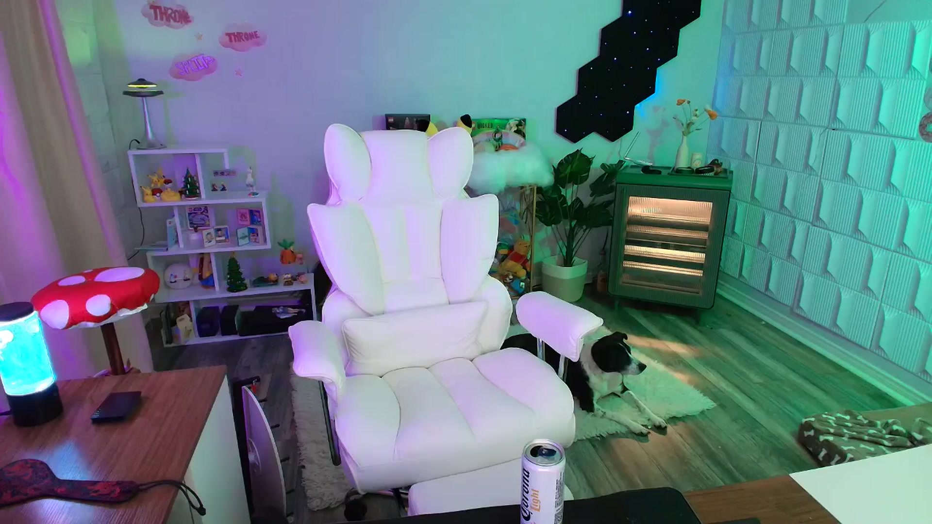 Gallery image thumbnail from kaydolll's myfreecams stream on, 11/23/2025, 08:27 image 7 of 20