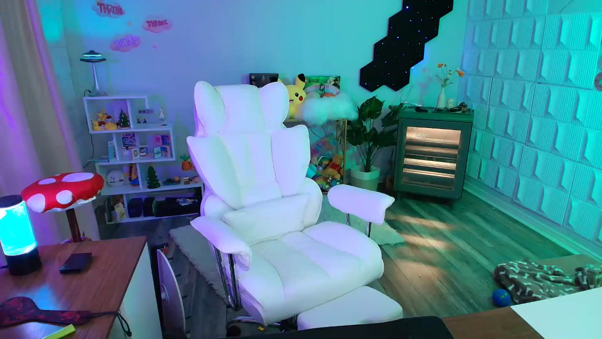Gallery image thumbnail from kaydolll's myfreecams stream on, 11/23/2025, 08:27 image 16 of 20