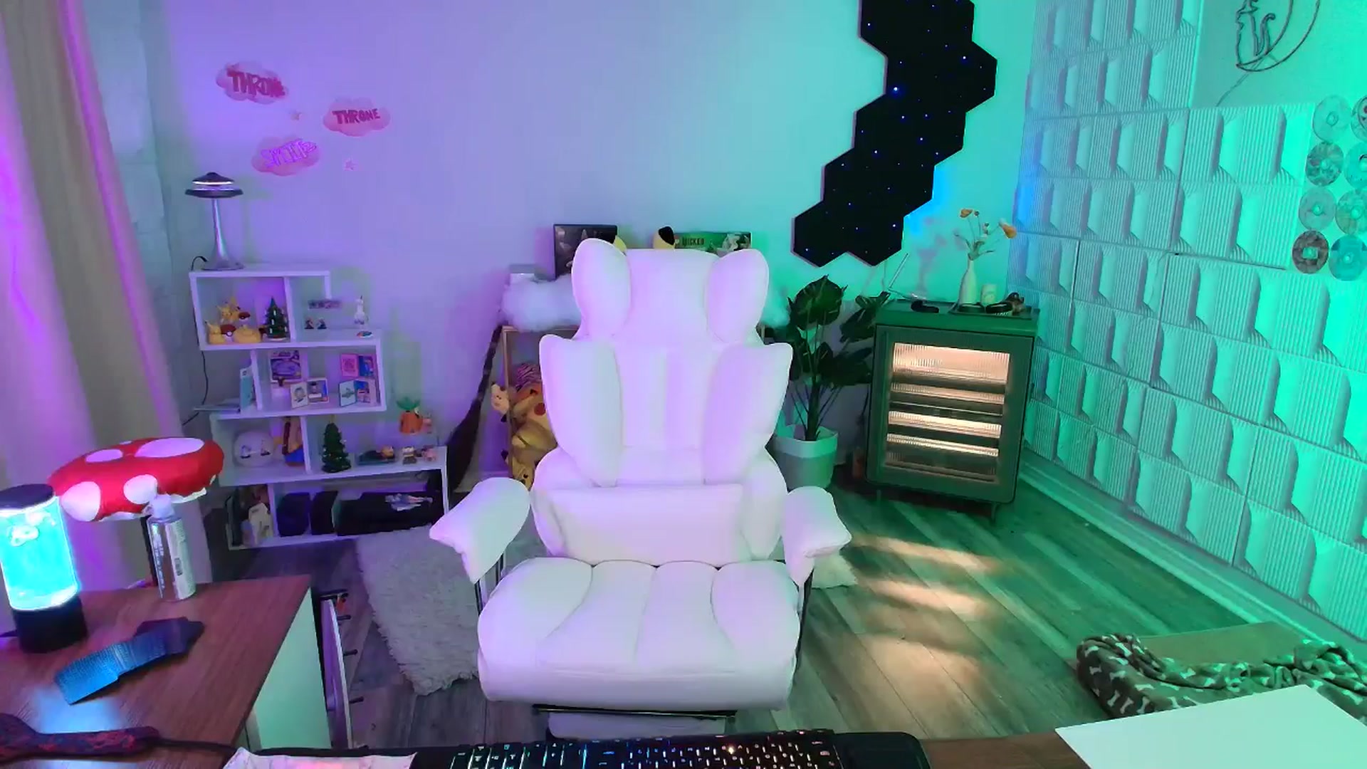 Gallery image thumbnail from kaydolll's myfreecams stream on, 11/24/2025, 08:53 image 5 of 20