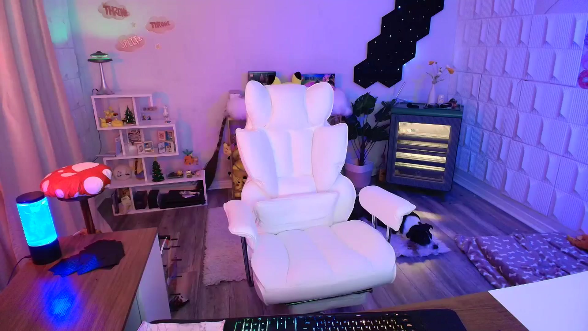 Gallery image thumbnail from kaydolll's myfreecams stream on, 11/30/2025, 08:38 image 4 of 20