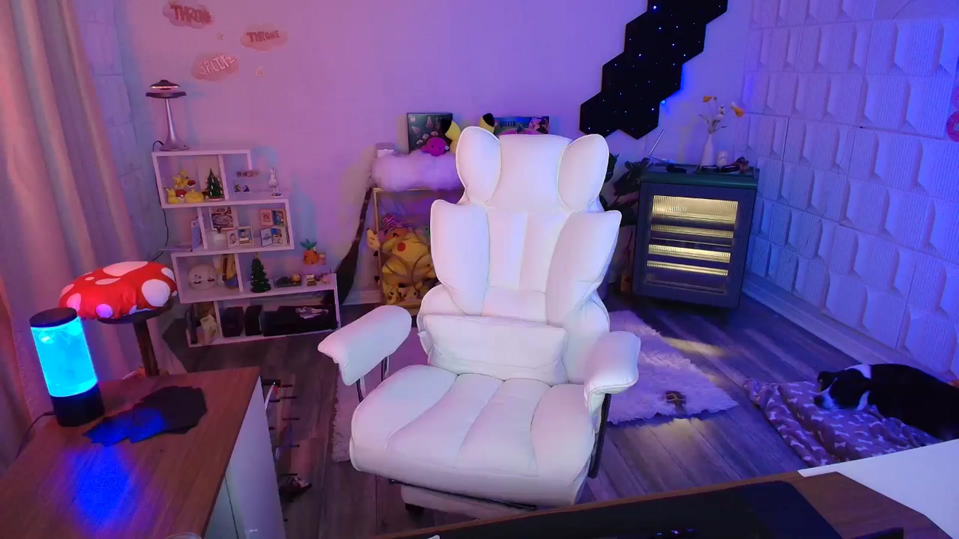 Gallery image thumbnail from kaydolll's myfreecams stream on, 11/30/2025, 09:17 image 9 of 20