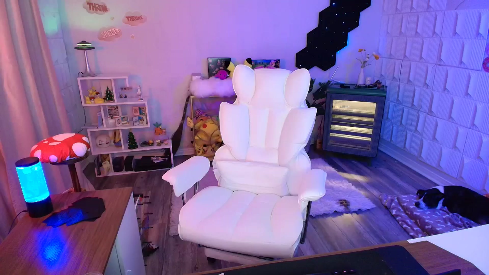 Gallery image thumbnail from kaydolll's myfreecams stream on, 11/30/2025, 09:17 image 11 of 20