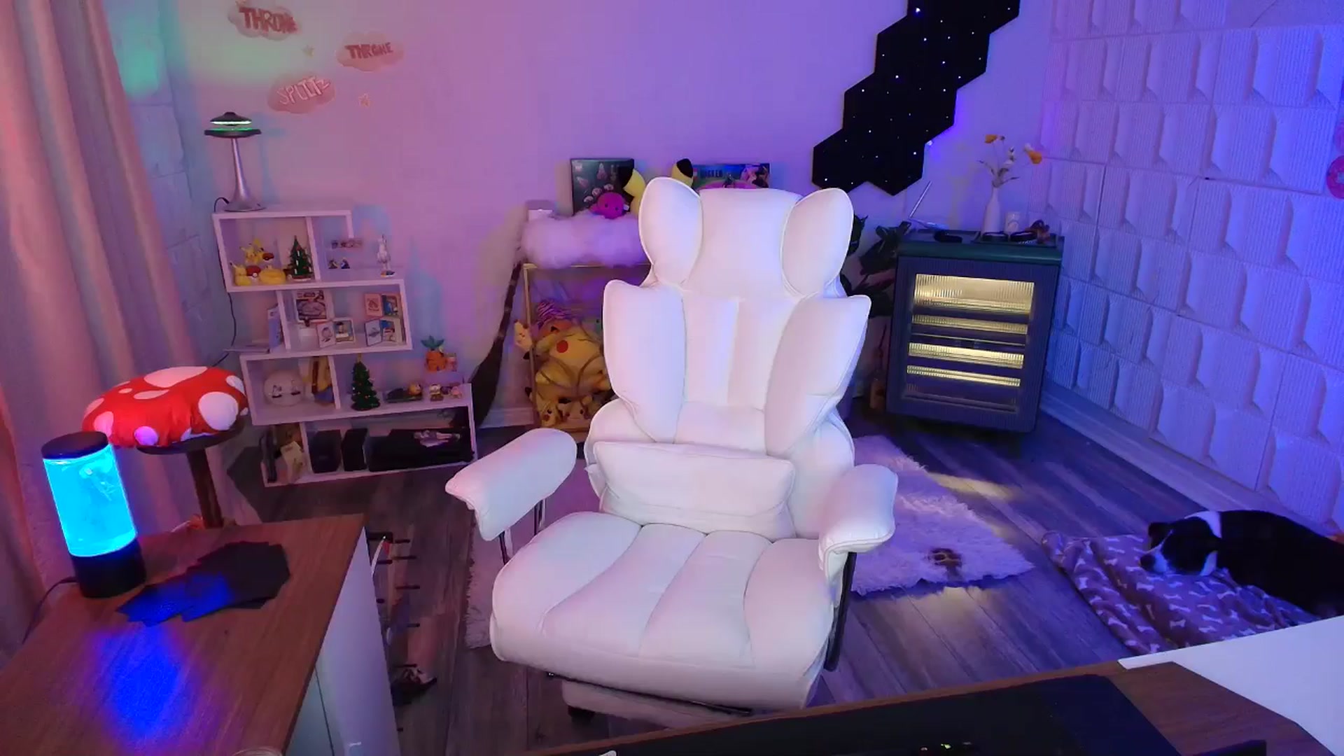 Gallery image thumbnail from kaydolll's myfreecams stream on, 11/30/2025, 09:17 image 8 of 20